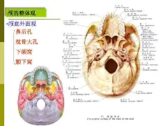 爱游戏入口-rao抡